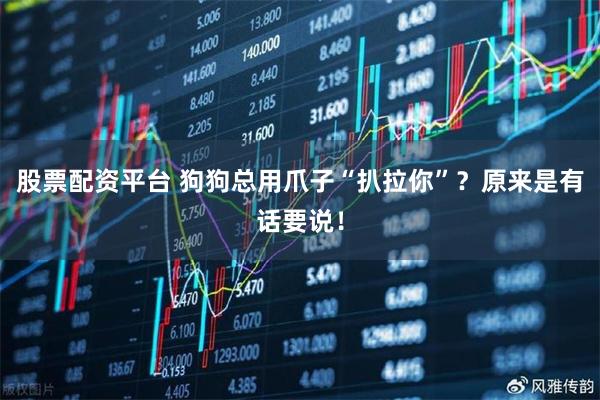 股票配资平台 狗狗总用爪子“扒拉你”？原来是有话要说！