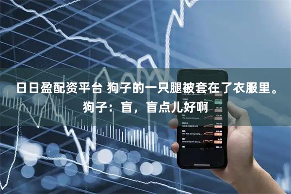 日日盈配资平台 狗子的一只腿被套在了衣服里。狗子：盲，盲点儿好啊