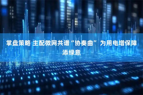 掌盘策略 主配微网共谱“协奏曲” 为用电增保障添绿意